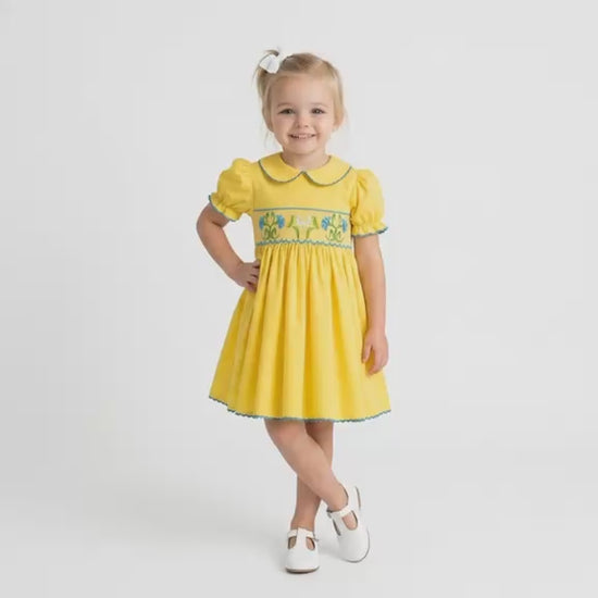 Smocking plate Embroidery Design Smocking Plate , Cornflower Daisy Border, Baby Girl Dress, Machine Embroidery Instant Download