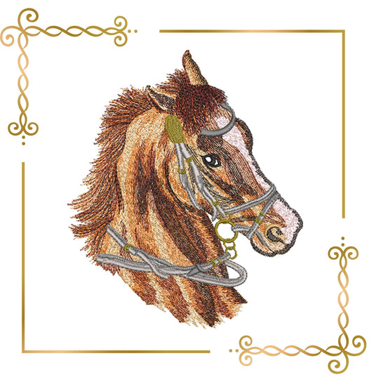 Animals Head of a horse digital machine embroidery design